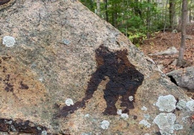 Look Closer (20 pics)