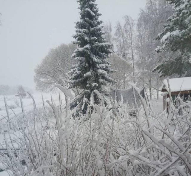 Life In Finland (19 pics)