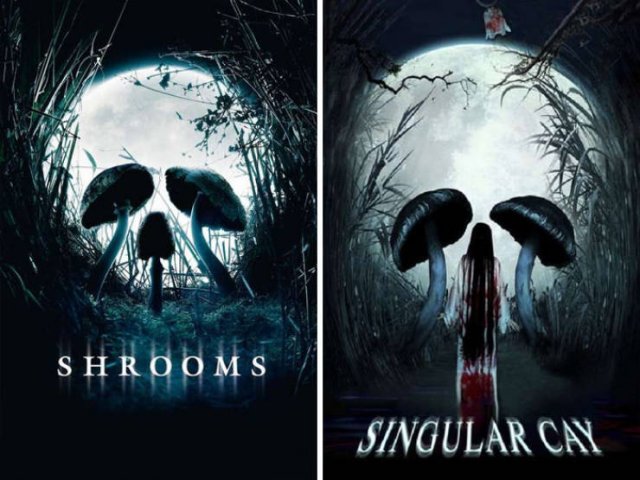 Movie Posters That Look Almost The Same (30 pics)