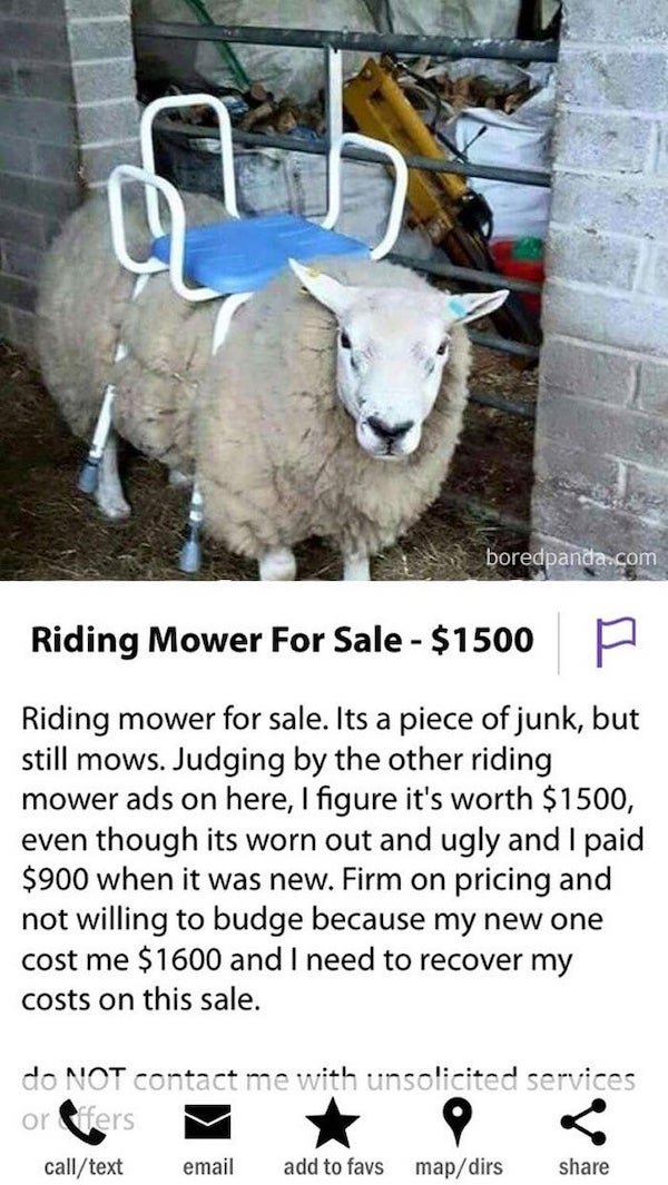 These People Know How To Sell (32 pics)