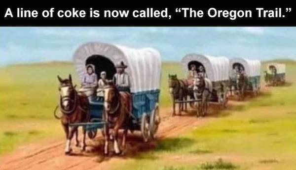 Dirty Humor (37 pics)