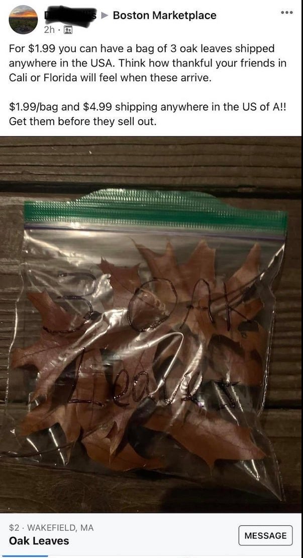 These People Know How To Sell (32 pics)