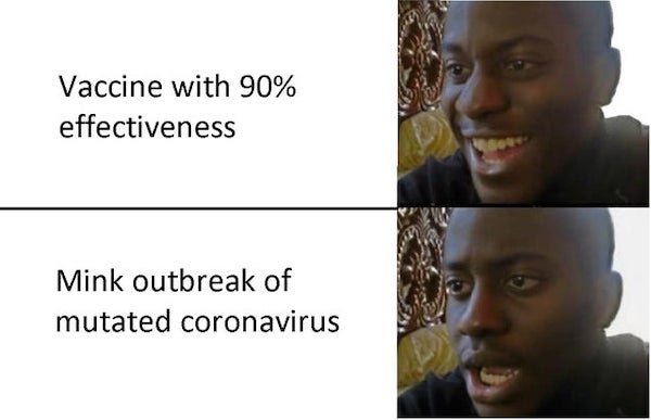 Quarantine Memes (32 pics)