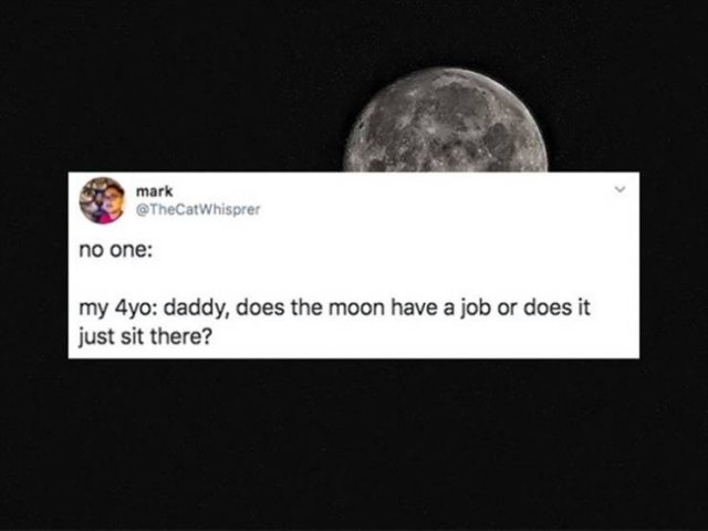 Funny Tweets (21 pics)