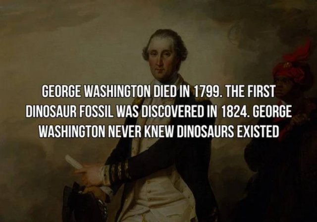 History Facts (19 pics)