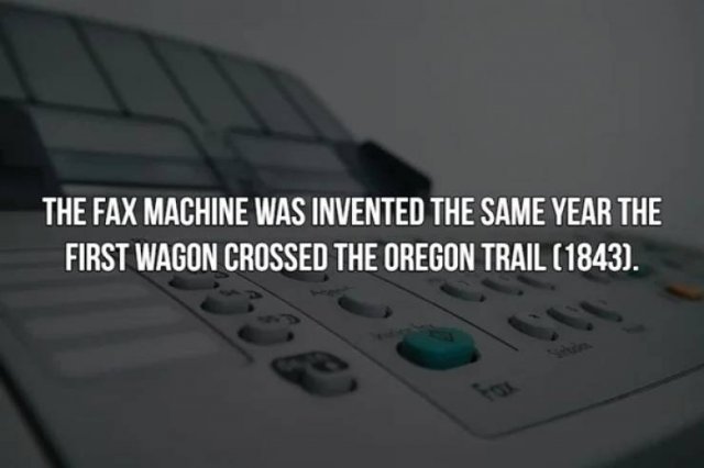 History Facts (19 pics)
