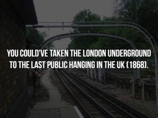 History Facts (19 pics)