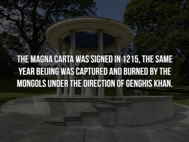 History Facts (19 pics)