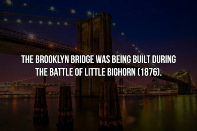 History Facts (19 pics)