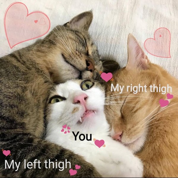 Flirtatious Memes (32 pics)