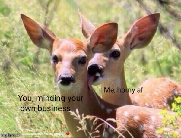 Flirtatious Memes (32 pics)