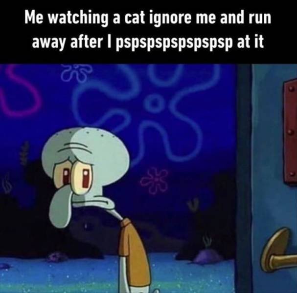Random Funny Memes (88 pics)