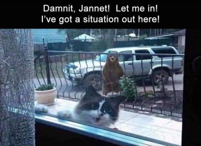Random Funny Memes (88 pics)