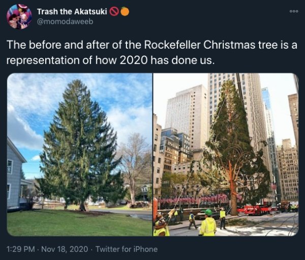 What's Wrong With The Rockefeller Center Christmas Tree 2020? (22 pics)