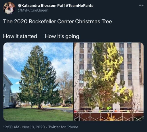 What's Wrong With The Rockefeller Center Christmas Tree 2020? (22 pics)