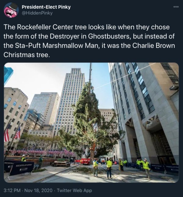 What's Wrong With The Rockefeller Center Christmas Tree 2020? (22 pics)