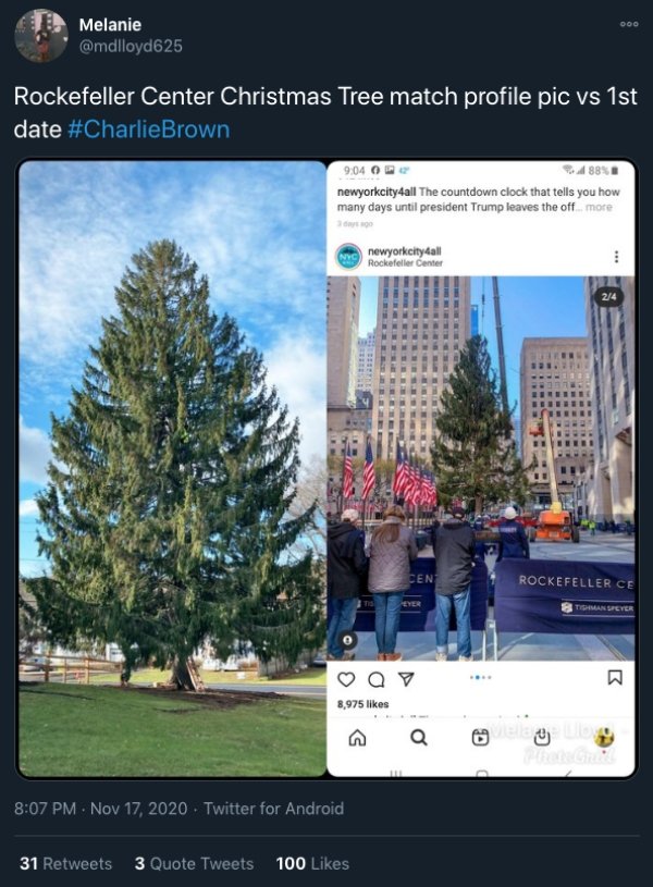 What's Wrong With The Rockefeller Center Christmas Tree 2020? (22 pics)