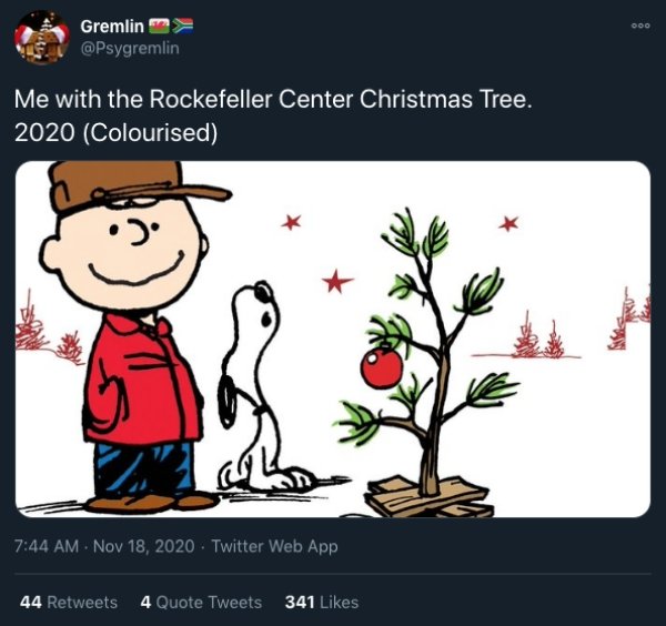 What's Wrong With The Rockefeller Center Christmas Tree 2020? (22 pics)
