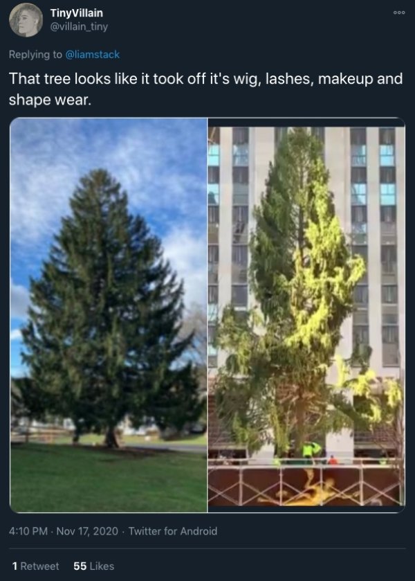 What's Wrong With The Rockefeller Center Christmas Tree 2020? (22 pics)