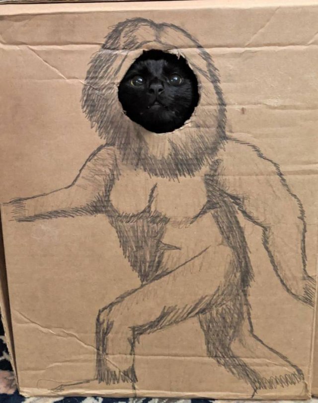 Acid Picdump. Part 2 (86 pics)