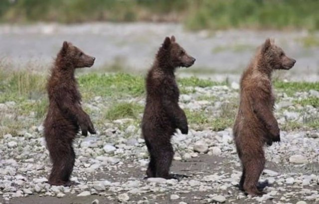 Acid Picdump. Part 2 (86 pics)