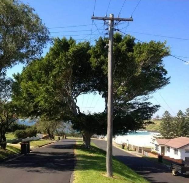 Acid Picdump. Part 2 (86 pics)