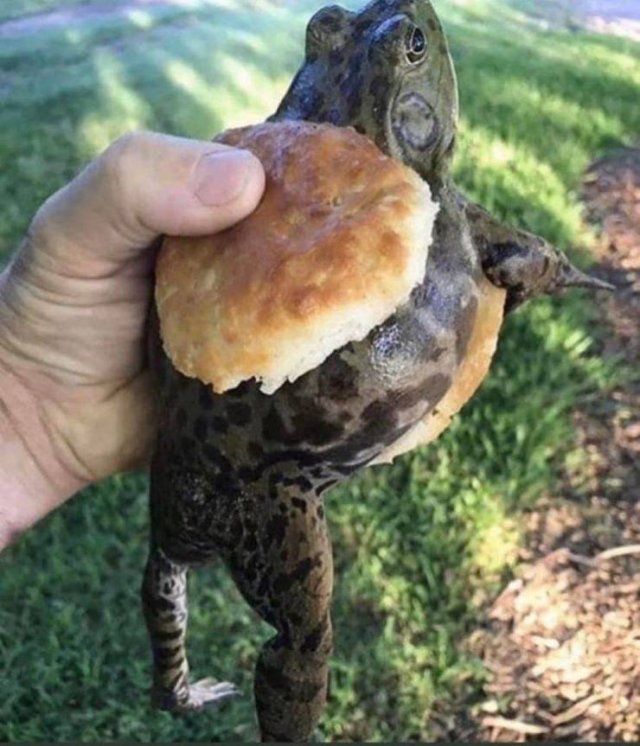 Acid Picdump. Part 2 (86 pics)