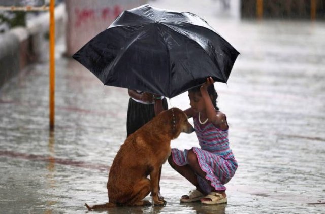 No Words Needed For These Pictures (48 pics) No Words Needed For These Pictures (48 pics)