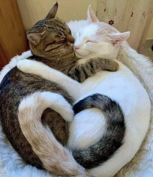 No Words Needed For These Pictures (48 pics) No Words Needed For These Pictures (48 pics)