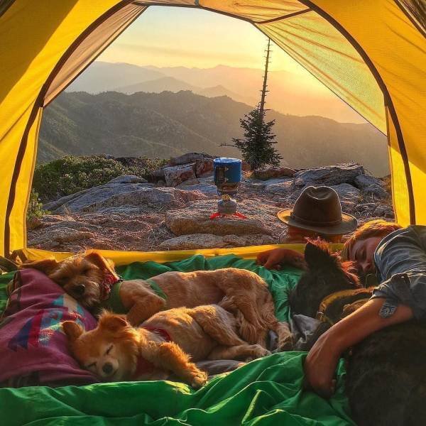 No Words Needed For These Pictures (48 pics) No Words Needed For These Pictures (48 pics)