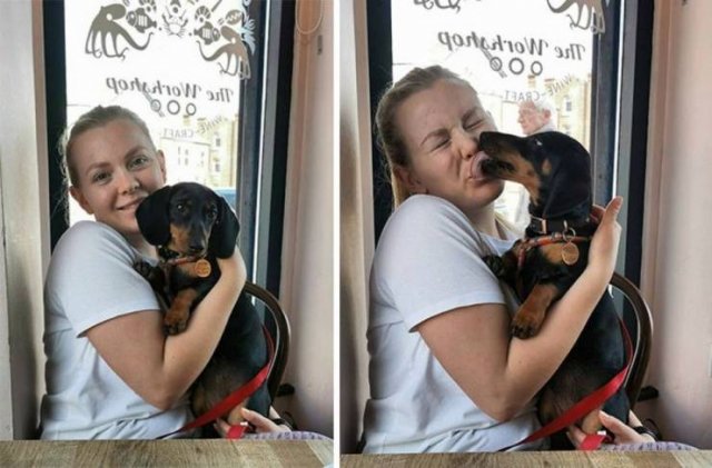 No Words Needed For These Pictures (48 pics) No Words Needed For These Pictures (48 pics)