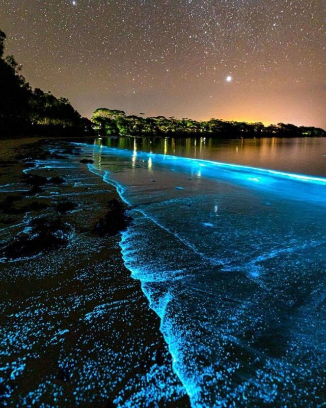 No Words Needed For These Pictures (48 pics) No Words Needed For These Pictures (48 pics)