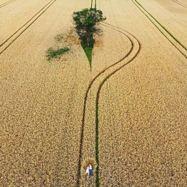 No Words Needed For These Pictures (48 pics) No Words Needed For These Pictures (48 pics)