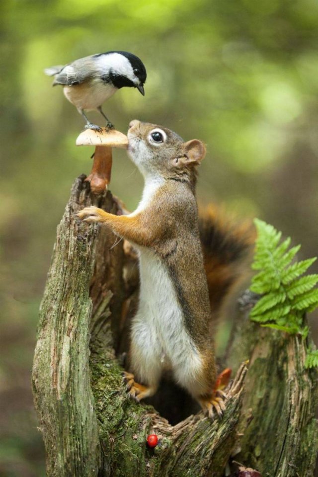 No Words Needed For These Pictures (48 pics) No Words Needed For These Pictures (48 pics)