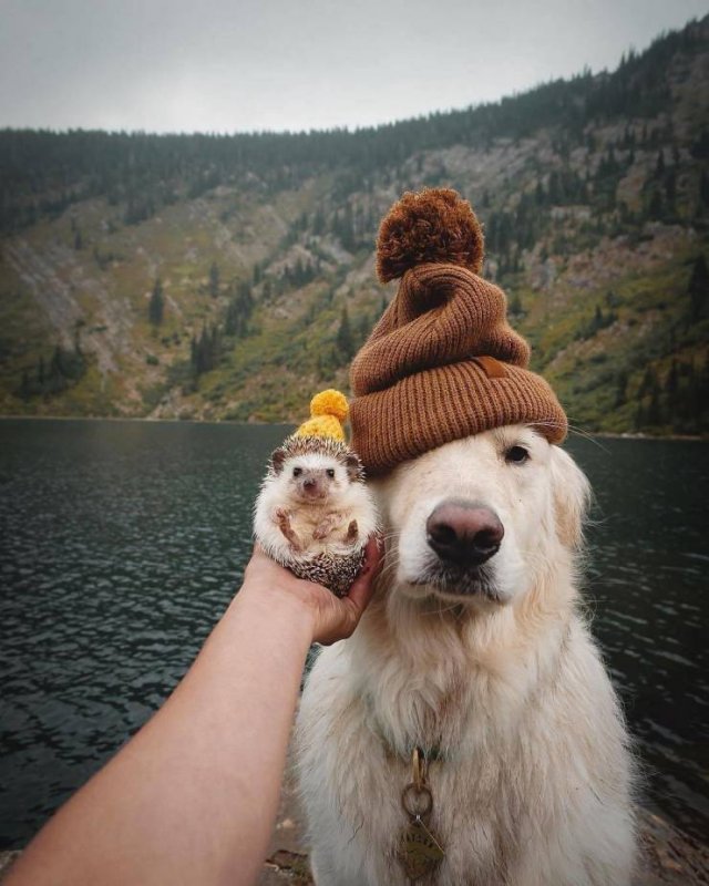 No Words Needed For These Pictures (48 pics) No Words Needed For These Pictures (48 pics)