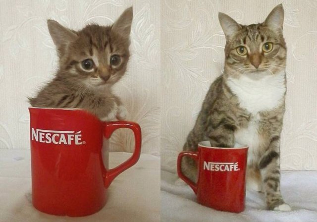 No Words Needed For These Pictures (48 pics) No Words Needed For These Pictures (48 pics)