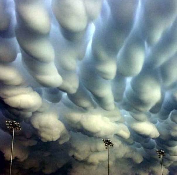 No Words Needed For These Pictures (48 pics) No Words Needed For These Pictures (48 pics)