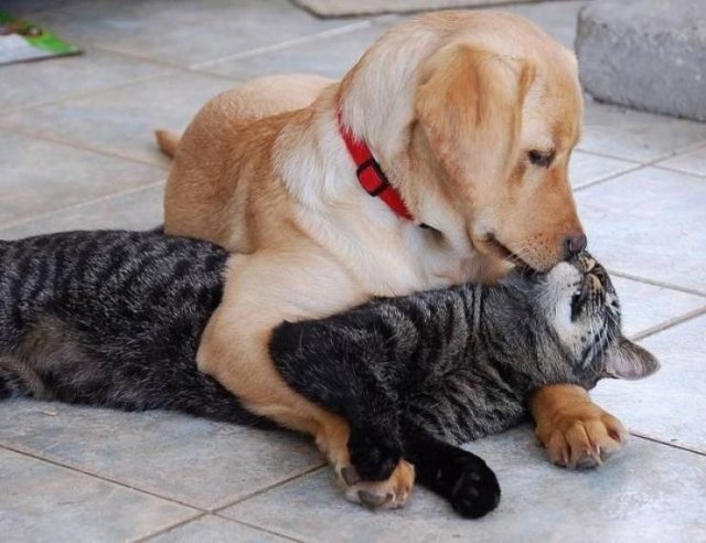 No Words Needed For These Pictures (48 pics) No Words Needed For These Pictures (48 pics)