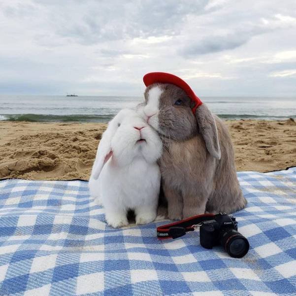 No Words Needed For These Pictures (48 pics) No Words Needed For These Pictures (48 pics)