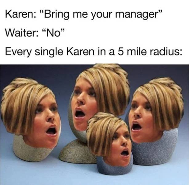 Karen Memes (31 pics)
