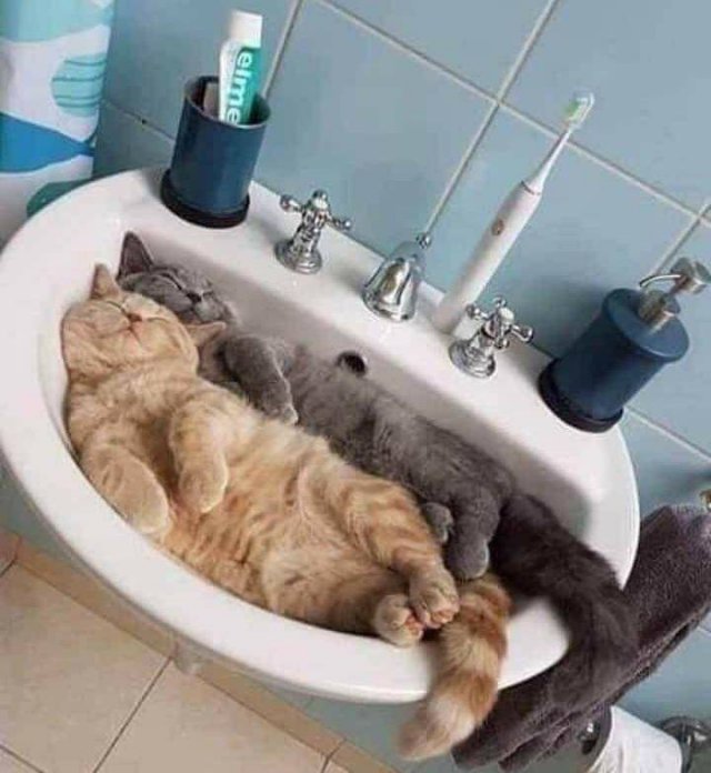 No Words Needed For These Pictures (48 pics) No Words Needed For These Pictures (48 pics)