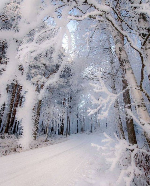 No Words Needed For These Pictures (48 pics) No Words Needed For These Pictures (48 pics)