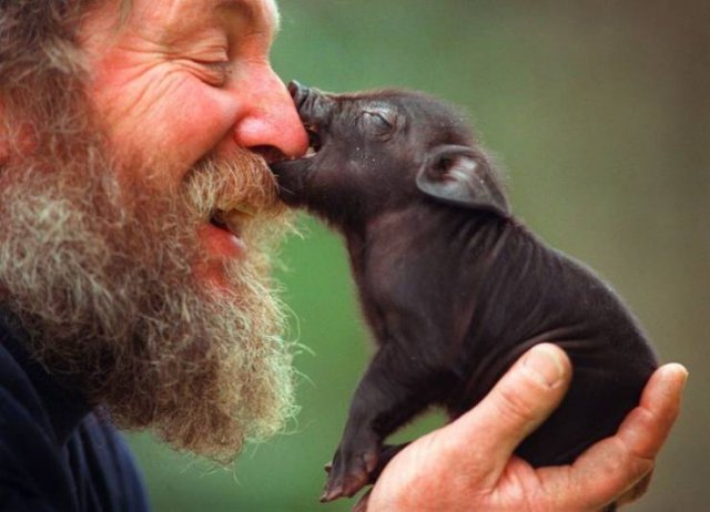 No Words Needed For These Pictures (48 pics) No Words Needed For These Pictures (48 pics)