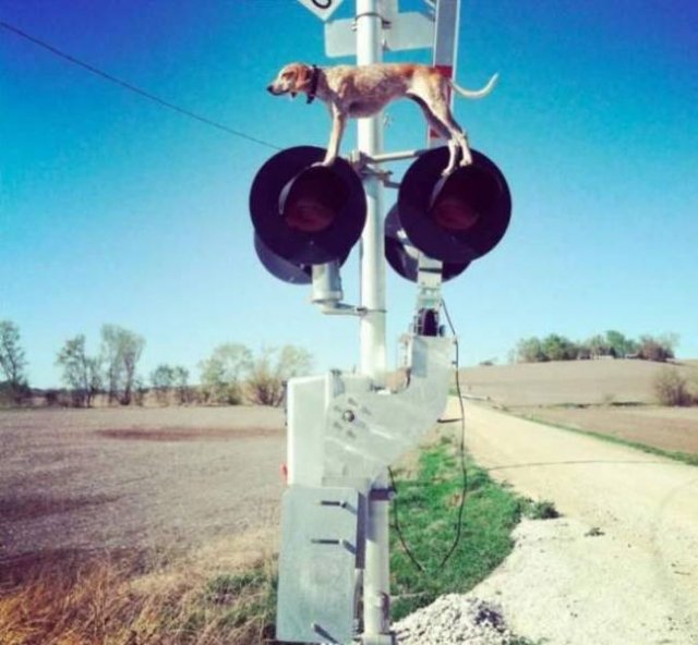 Acid Picdump. Part 1 (93 pics)
