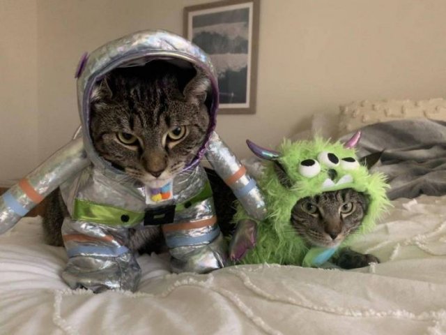 Acid Picdump. Part 1 (93 pics)