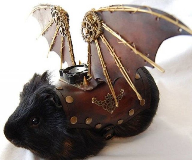 Acid Picdump. Part 1 (93 pics)