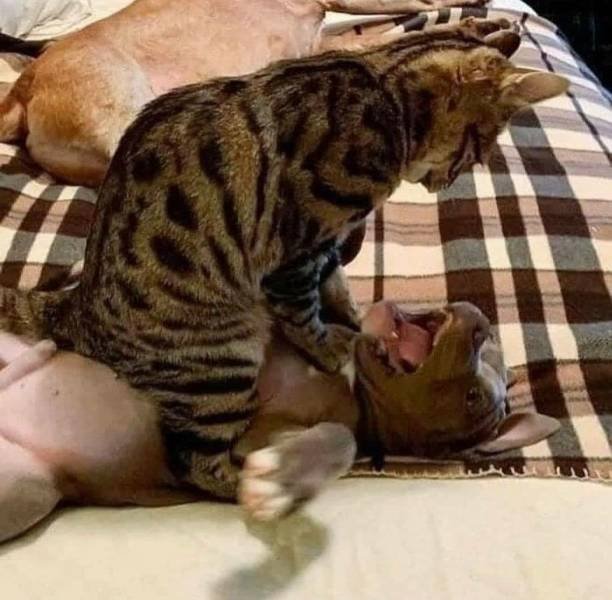 Acid Picdump. Part 1 (93 pics)