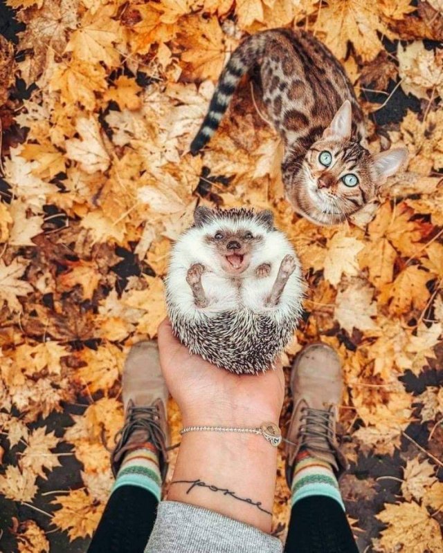 Acid Picdump. Part 1 (93 pics)