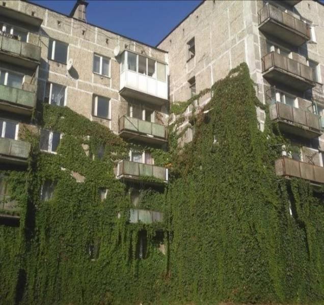 Acid Picdump. Part 1 (93 pics)