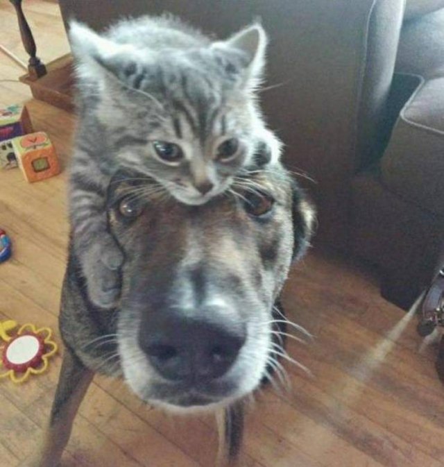 Acid Picdump. Part 1 (93 pics)
